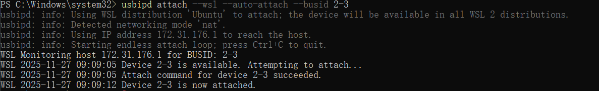 usbipd attach example